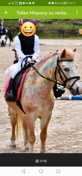 Tolles Pony zu verkaufen, Rebekka Schmidt, Konie na sprzedaż, Holzhausen