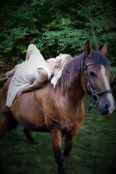 Reit-, Pflegebeteiligung, Kerstin Gerstl, Horse Sharing
, St.Pölten