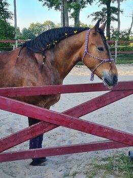 Allrounder sucht Bestplatz Friese mal Kaltimix
