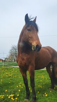 Wunderschöne Spanierin