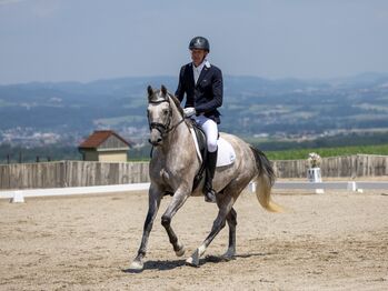 Wunderschöner leistungsbereiter Allrounder