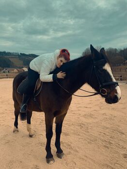 Wunderschönes Freizeitpferd, Nadia, Pferd kaufen, Wien, Währing