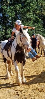 wundervoll und lieber irish cob wallach