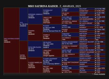 Tausch/Verkauf Safirina