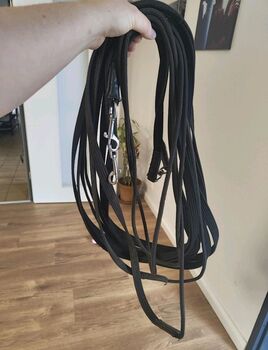 Doppellonge, Doppellonge , Kiecol, Lonżowanie, Schwanewede