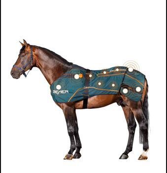 BEMER Horse-Set Vermietung, BEMER Horse-Set, Kristin Wilstermann, Terapia i leczenie, Wentorf A/S