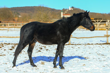 Du folgst diesem Verkäufer jetzt.