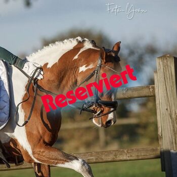 Nachwuchsstar mit überdurchschnittlichen GGA