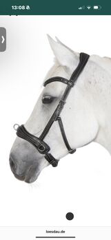 Kappzaum soft, Loesdau, Sara Mayer , Lunging, Giesdorf 