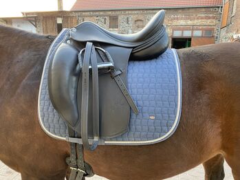 Sattel Erreplus, Erreplus  Adeline, Diana Standhaft, Dressage Saddle, Schkeuditz 