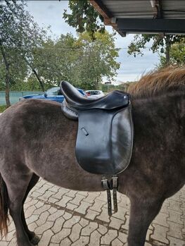 Sattel Massimo Dressur II - 17,5" - KW 34 - französische Kissen, Massimo Dressur II französische Kissen, Julia, Dressage Saddle, Göppingen