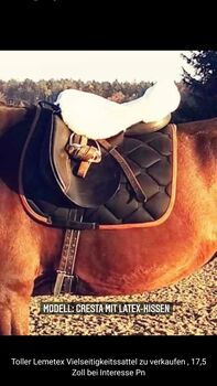 Sattel vielseitigkeit, Lemetex Cresta 17,5 zoll, Tanja wild, All Purpose Saddle, Tuttlingen