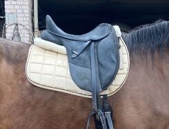 Schabracke, Fabi, Dressage Pads, Eßweiler