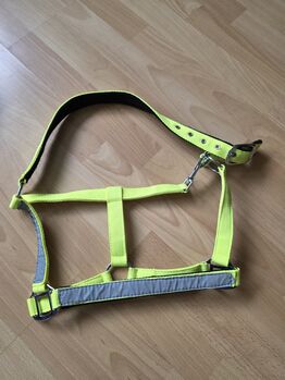 Schabracke + Gamasche + Halfter Safe Prodect