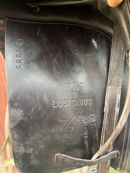 Zaldi Lusitano 17,5 Zaldi Lusitano