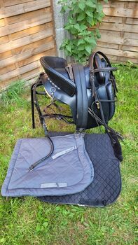 Zaldi Mixta komplett mit Zubehör, Zaldi Mixta, Andrea, Baroque Saddle, Rutsweiler am Glan