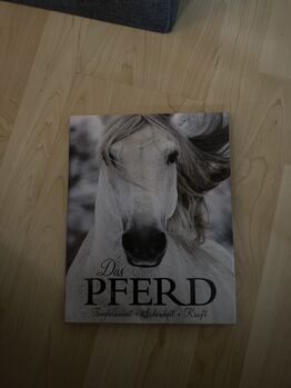 Buch Das Pferd, Julien Koch , Książki, Breitenbach 