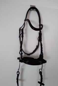 Zaumzeug Hackamore, Waldhausen  X-Line Zaum Hackamore, Ruth, Gebisslose Zäumungen, Remscheid