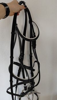 Zaumzeug VB, Sophie Marie Studer, Reithalfter, St.Erhard