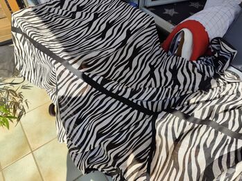 Fliegendecke Zebra mit integriertem Halsteil, Thermo Master , Heike Lauschmann , Horse Blankets, Sheets & Coolers, Alfdorf