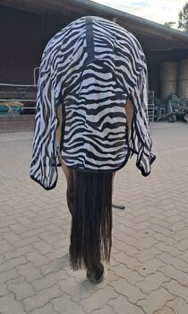 Zebra Fliegendecke Weide mit Halsteil und Bauchlatz BTS Bywater International Clothing Zebra Fliegendecke Weide mit Halsteil und Bauchlatz