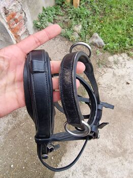 Sehr leichter und weicher Kappzaum X-Full, Kathrin , Bitless Bridles, Geschendorf