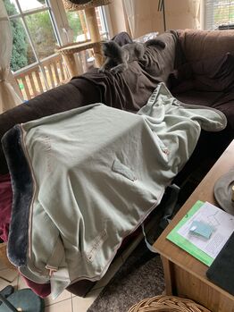 Schabracke Abschwitzdecke Set Dressur wb Waldhausen Waldhausen