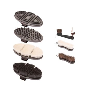 Bürsten Set Premium von Animalon inkl Mähnen Bürste Animalon 