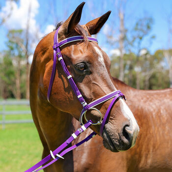 Zilco Kunststoff Ponyzaum VIOLETT-WEISS, Maya (Swisshorseshop), Bridles & Headstalls, Frauenfeld