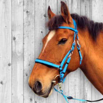 Zilco Marathon Wander-/Distanzreitzaum CYAN mit Zügel, Zilco, Maya (Swisshorseshop), Bridles & Headstalls, Frauenfeld