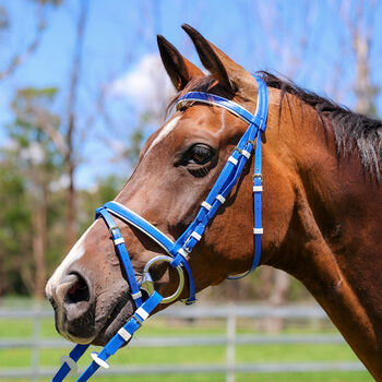 Zilco Kunststoff Ponyzaum ROYALBLAU-WEISS Zilco