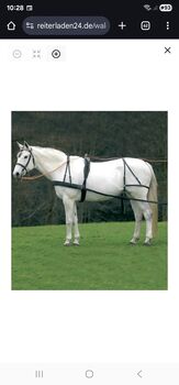 SUCHE Einspännergeschirr gebraucht, Waldhausen Economic, Katharina Neumaier, Horse Harness, München