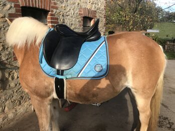 Sommer Sattel Pirmasens, Sommer Pirmasens, Sabrina, All Purpose Saddle, Melle