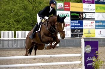 Zuverlässige Stute, welche aus jeder Lage springt, Chayenne Peters, Horses For Sale, Radolfzell 