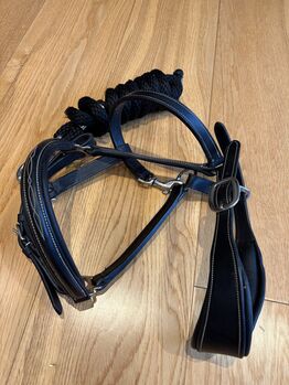 Black Leather Bridle with Lead Rope – Good Condition