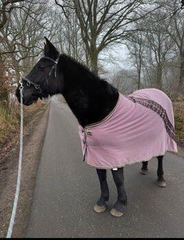 Abschwitzdecke 145, Eskadron , Marei , Horse Blankets, Sheets & Coolers, Norderstedt 