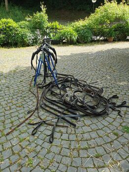 Zweispänner Brustblattgeschirr