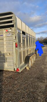 Ifor Williams Anhänger Ifor Williams  Ta510