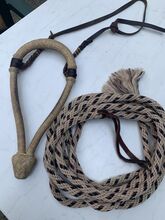 Bitless Bridles 