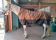120€% 600D Highneck Regendecke m. Fleece Riders King braun beige 165cm Riders King 600D Highneck Regendecke personalisierbar mit Fleece