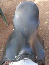 16.5" saddle