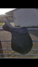 16.5” wintec saddle black Wintec Wintec