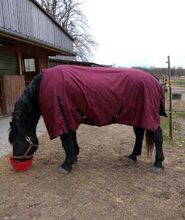 1680D KALTBLUT 50g Winter Regendecke weinrot 165 175 185cm Outdoordecke 5000mm BTS Bywater International Clothing 1680D Kaltblut Winter Regendecke mit 50g weinrot