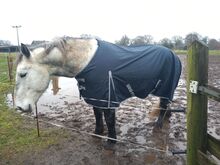 1680D KALTBLUT 50g Winter Regendecke blau 155 165 175 185cm Outdoordecke 5000mm BTS Bywater International Clothing 1680D Kaltblut Winter Regendecke mit 50g blau