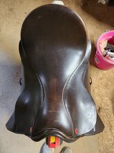 17.5 Albion Dressage Saddle Albion