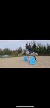 17hh ISH All rounder