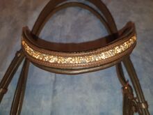 Nosebands 
