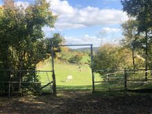 2 Plätze in kleinem, familiärem Offenstall frei