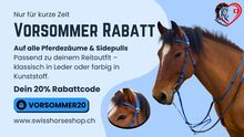 20 % Rabatt auf Pferdezäume und Sidpepulls bis 31.5.26