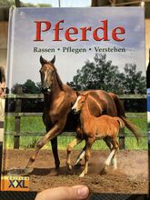 5 Bücher Pferde und Training